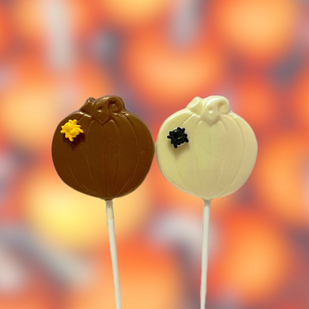 Squirrel Lollipop Chocolate Candy Mold #245 – Clear Plastic Mold For Making Fun Treats (Made In USA)